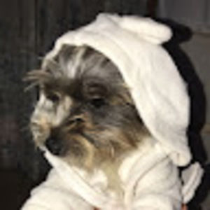 Meet your Posher, Noemy